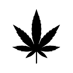 Trankiko 420 Cannabis club gandia Valencia Spain